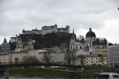 DSC_6993 (Large).JPG